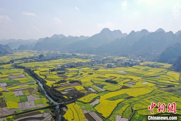 贵州兴义万峰林油菜花开引游客