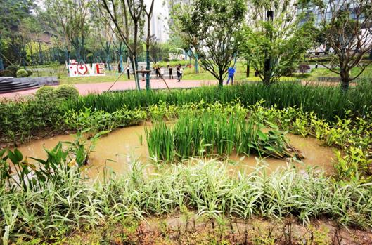 会呼吸的公园九龙坡区首个海绵城市公园开园迎客