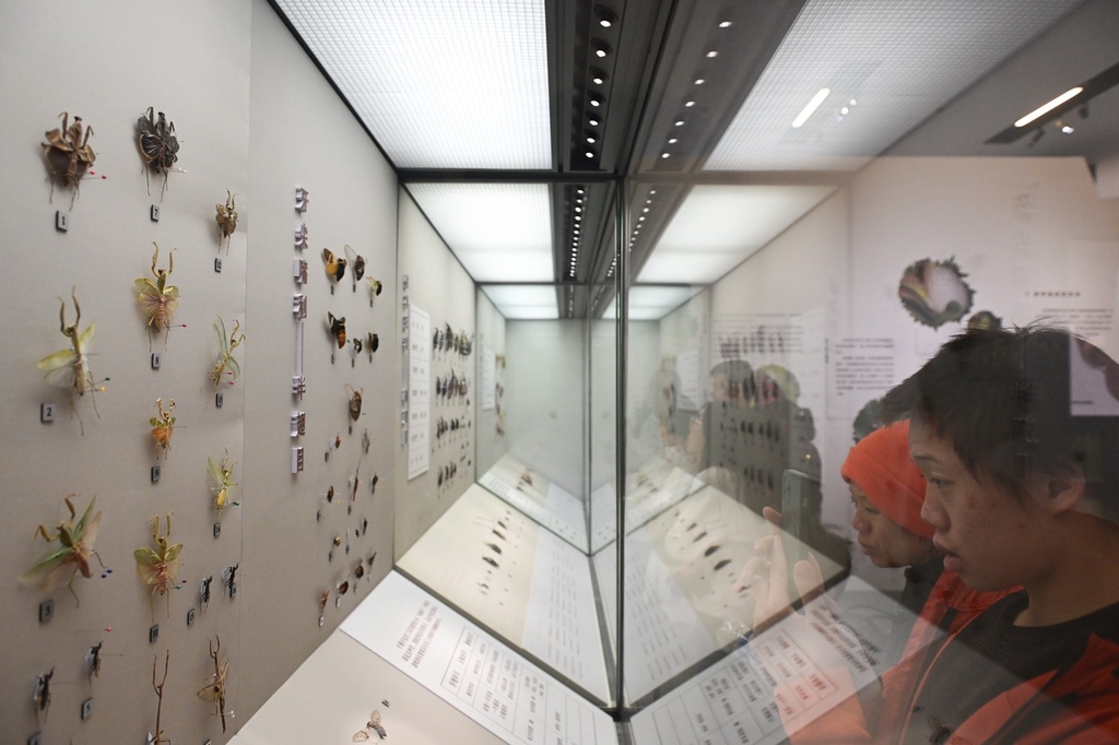 中国国家博物馆举办首个自然生态类展览