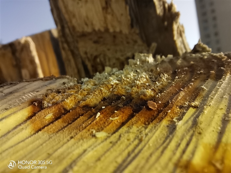 200万微距镜头拍摄