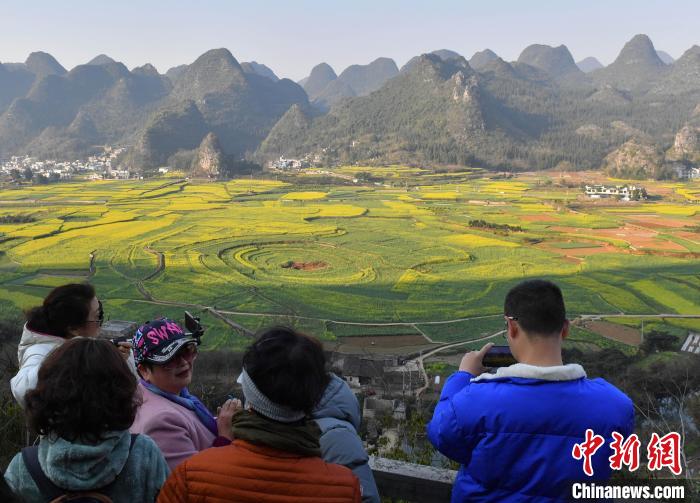 贵州兴义：早春二月油菜花飘香醉游人