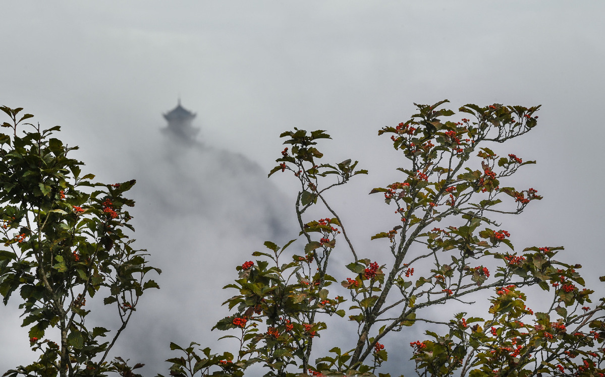 an overview of mist-shrouded longtoushan scenic spot