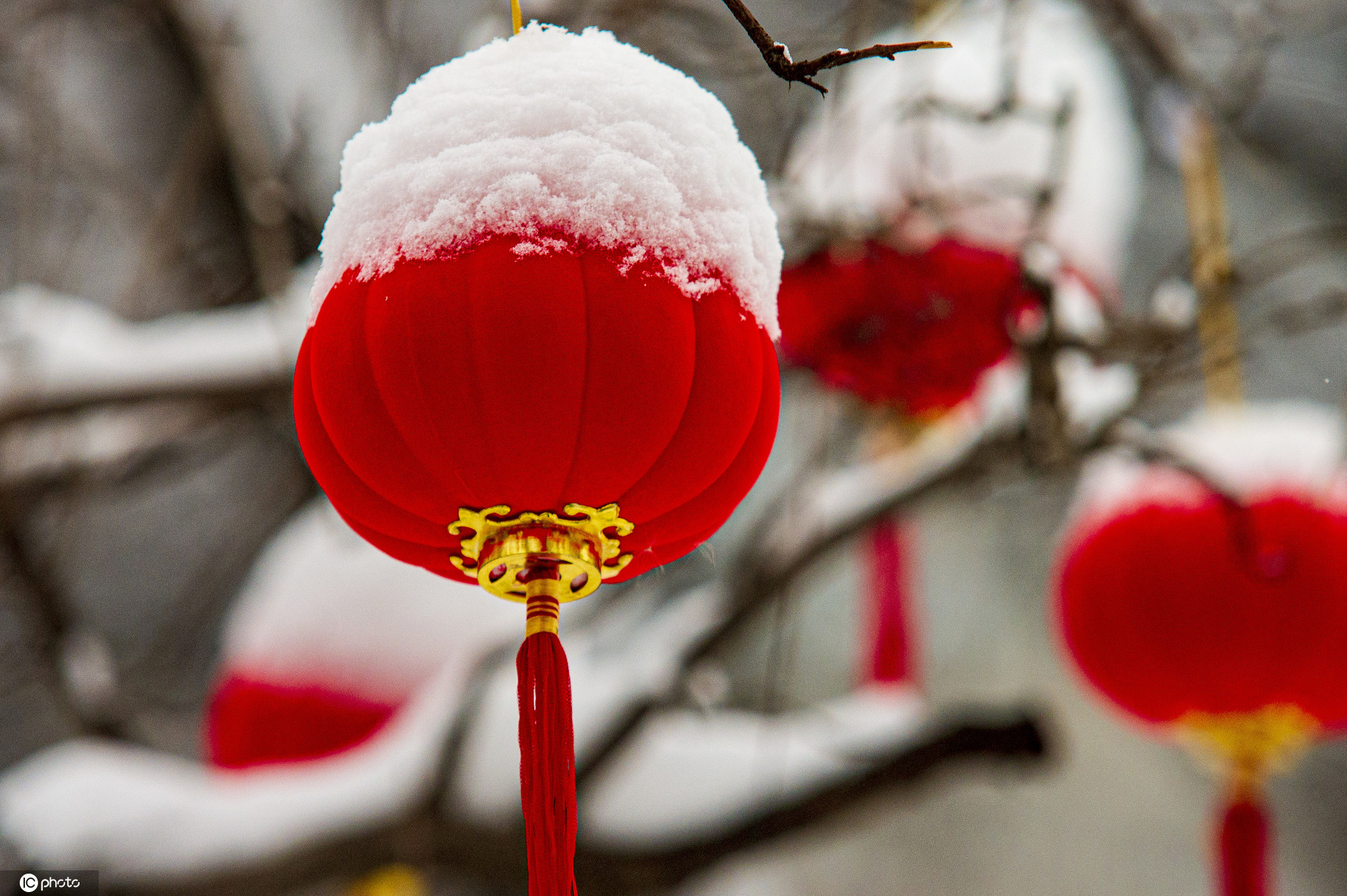 资料图:2009年1月10日,陕西咸阳临近年关北方的雪落在红灯笼上