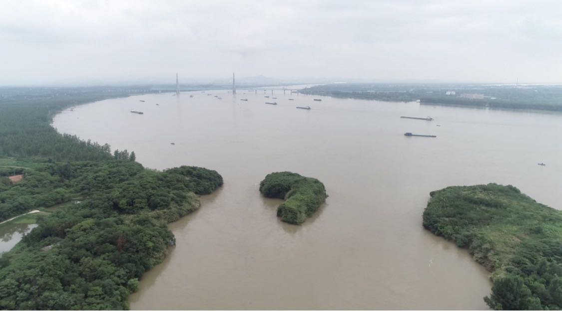 长江汇口水位超警19米安徽宿松县紧急撤离永天圩内居民