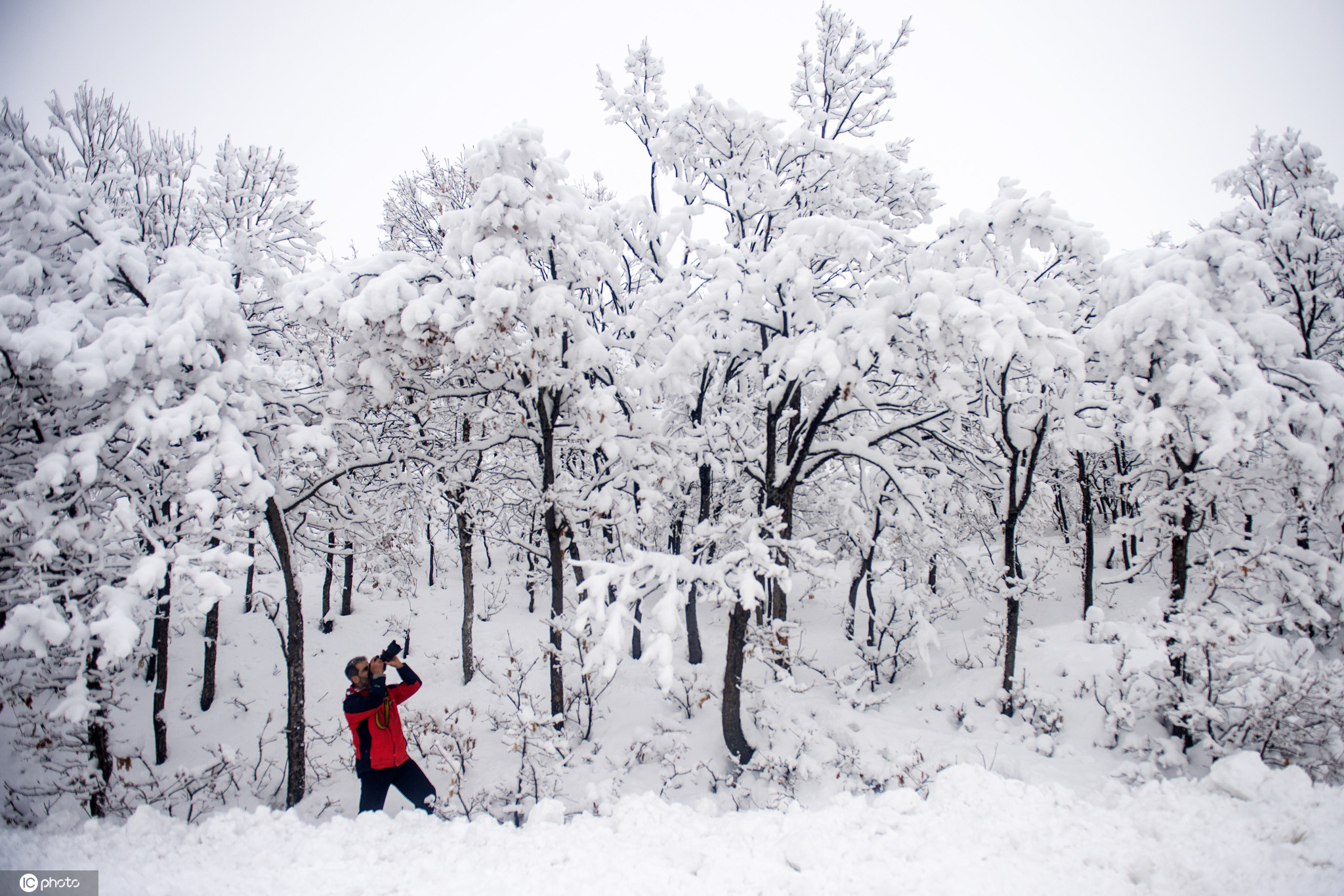 土耳其通杰利冬日雪景宛如白色童话世界