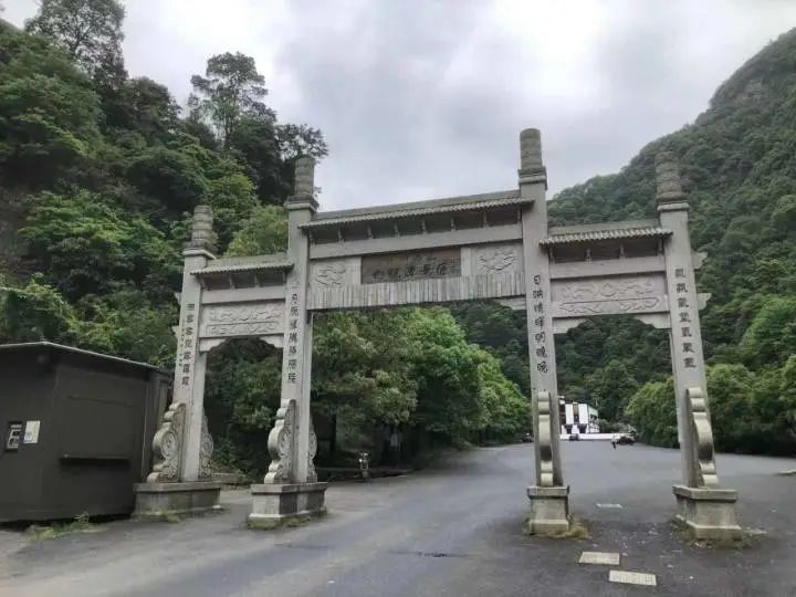 杭州出现的野生动物确定为豹子，当地野生动物园表示无动物逃逸