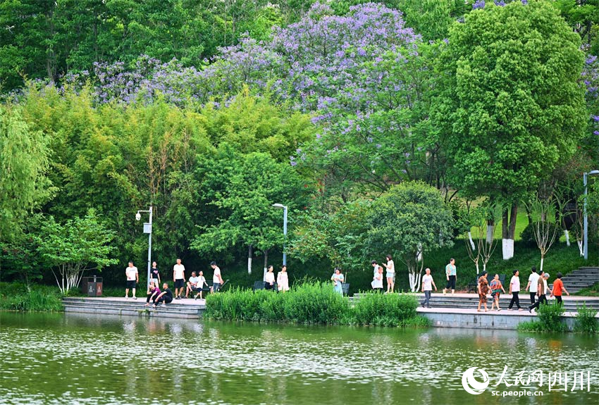 眉山仁寿:夏日好风景,公园美名城
