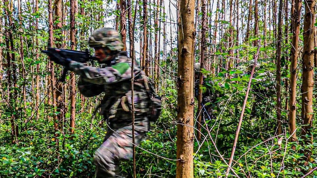 隔屏有震感海军两栖霸王花侦察考核检验实战能力