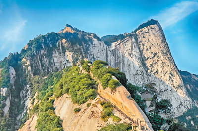 华山雄姿挺拔,树木青翠.资料图片