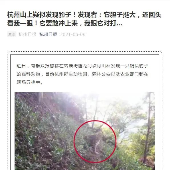 反复被打脸 盘点杭州 金钱豹外逃事件 争议时刻 瞒报 狗咬与断掌