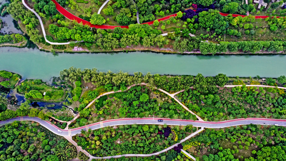 ↑山东省济宁市蓼沟河湿地景色。