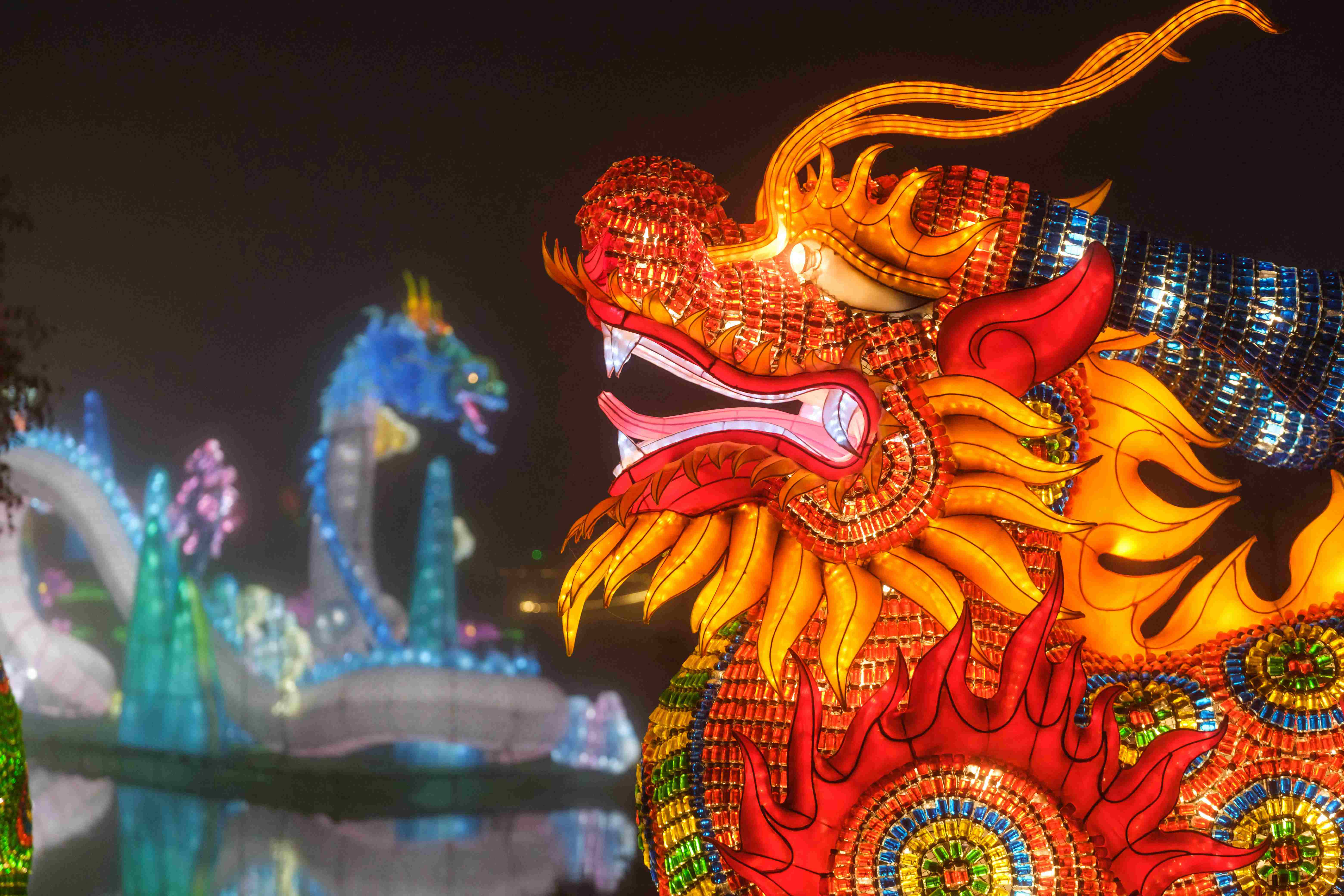 中国传统绚丽花灯亮相法国熊猫巨龙栩栩如生