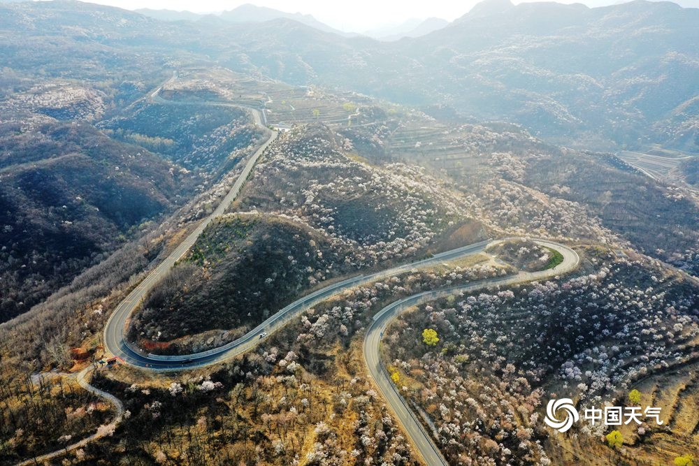 群山披花衣航拍北京门头沟壮美花海