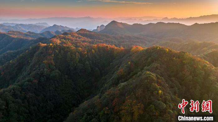 尹刚 摄图为航拍贵州省遵义市绥阳县宽阔水国家级自然保护区层林尽染