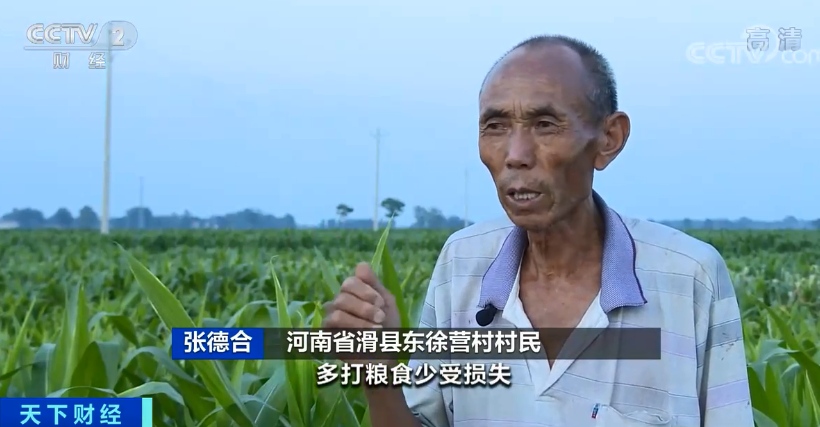 河南1450万亩农作物受灾,绝收550万亩!河南暴雨对我国粮食生产全局影响几何?官方回应