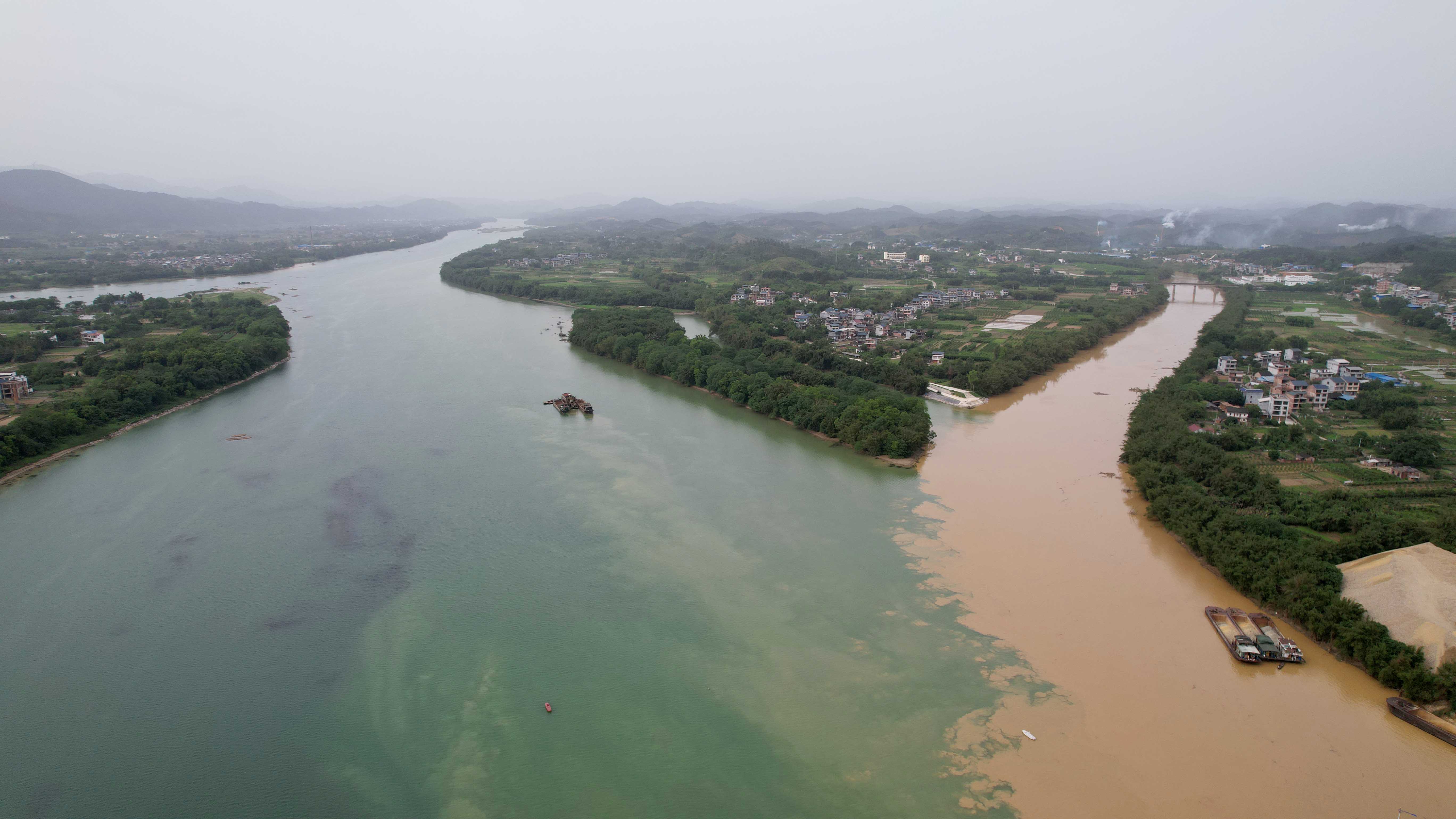 广西柳州融江现泾渭分明景观一清一浊蔚为壮观