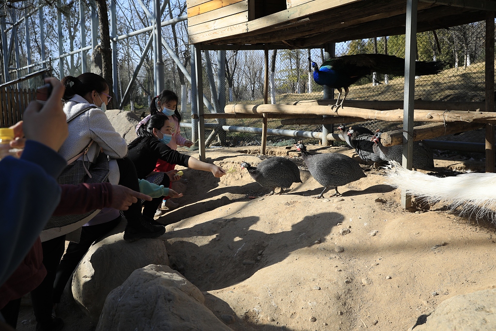 西安:探访世博园萌宠馆 动物萌态十足