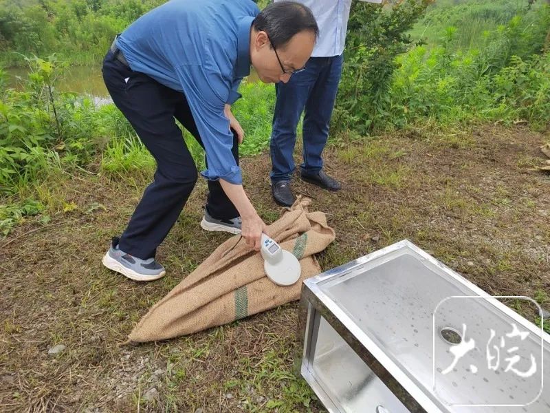 工作人员通过仪器扫描，识别袋中扬子鳄的身份