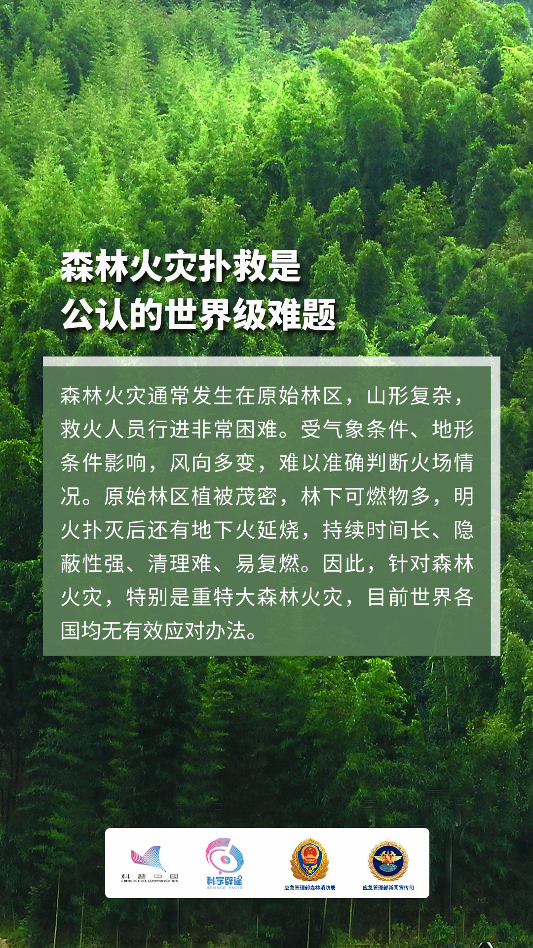 這些森林防火知識一定要知道