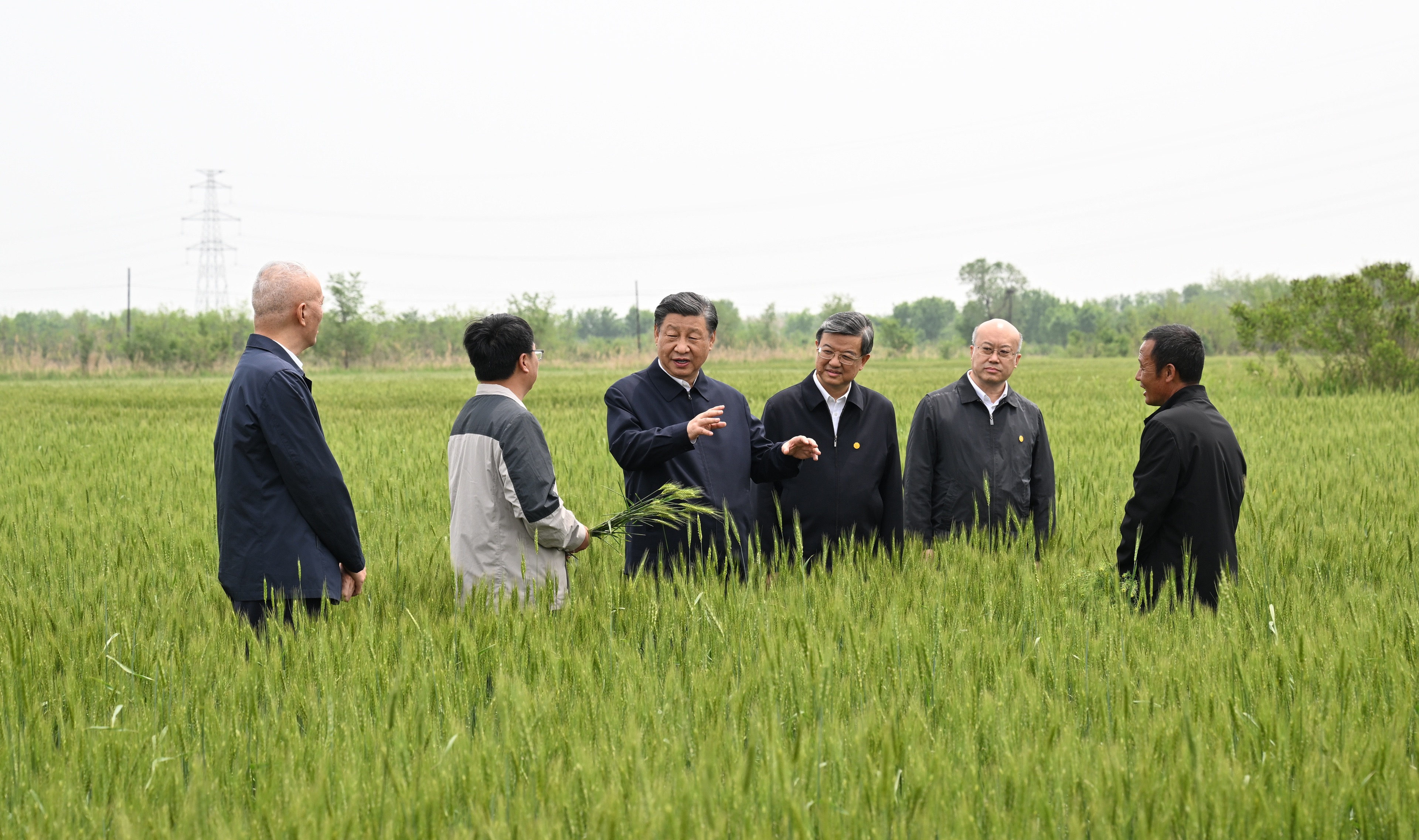 5月11日至12日，中共中央总书记、国家主席、中央军委主席习近平在河北考察，并主持召开深入推进京津冀协同发展座谈会。这是11日上午，习近平在沧州市黄骅市旧城镇仙庄片区旱碱地麦田考察时，同种植户、农技专家亲切交流。新华社记者 李学仁 摄