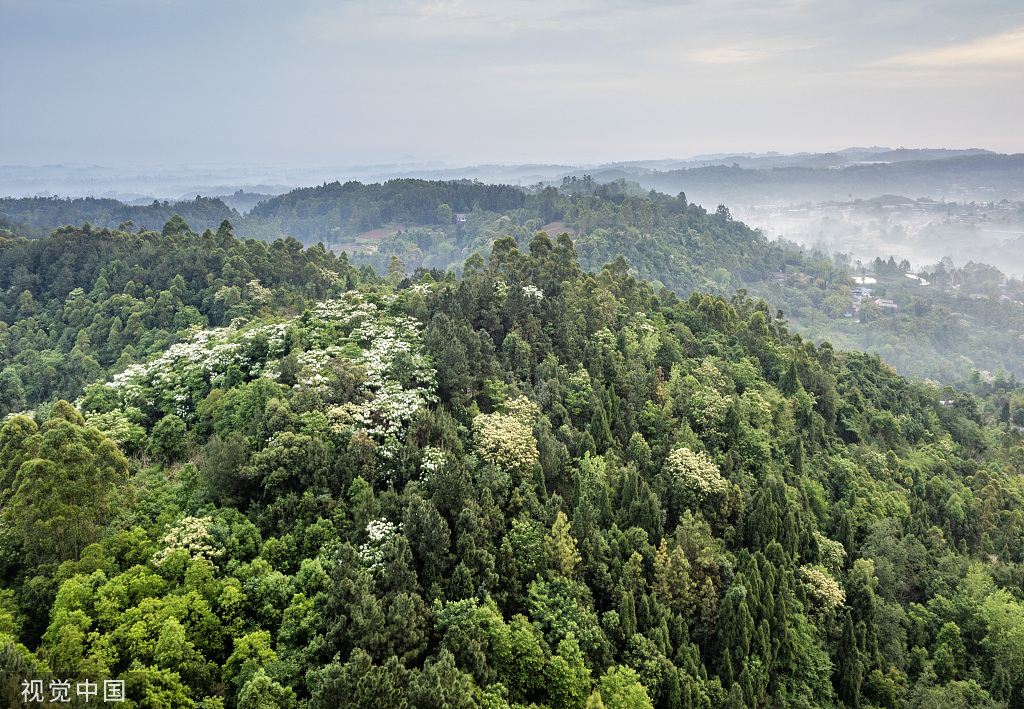 2022年4月27日,四川省眉山市仁寿县禾加镇五龙山风景区云雾缭绕,宛若