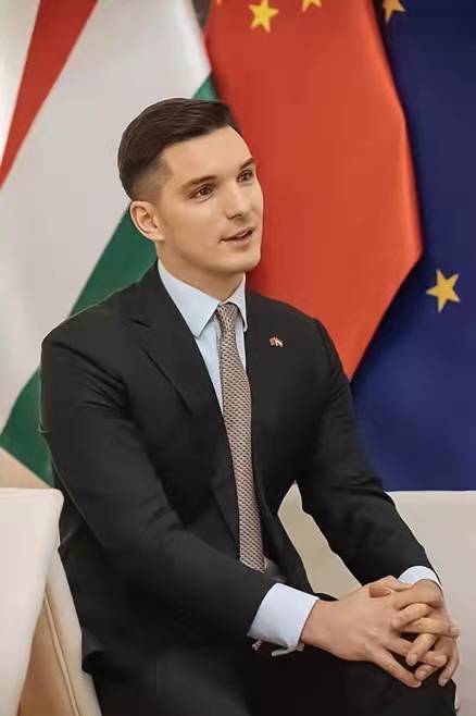 这个欧洲国家为什么跟中国这样铁驻华大使给出了答案