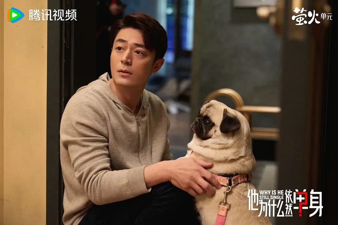 霍建华主演的《他为什么依然单身》