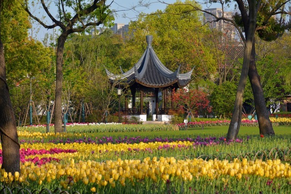 A pavilion at a park next to Nanhu Lake in Jiaxing shows the wonderful spring colors. [Photo provided to chinadaily.com.cn]