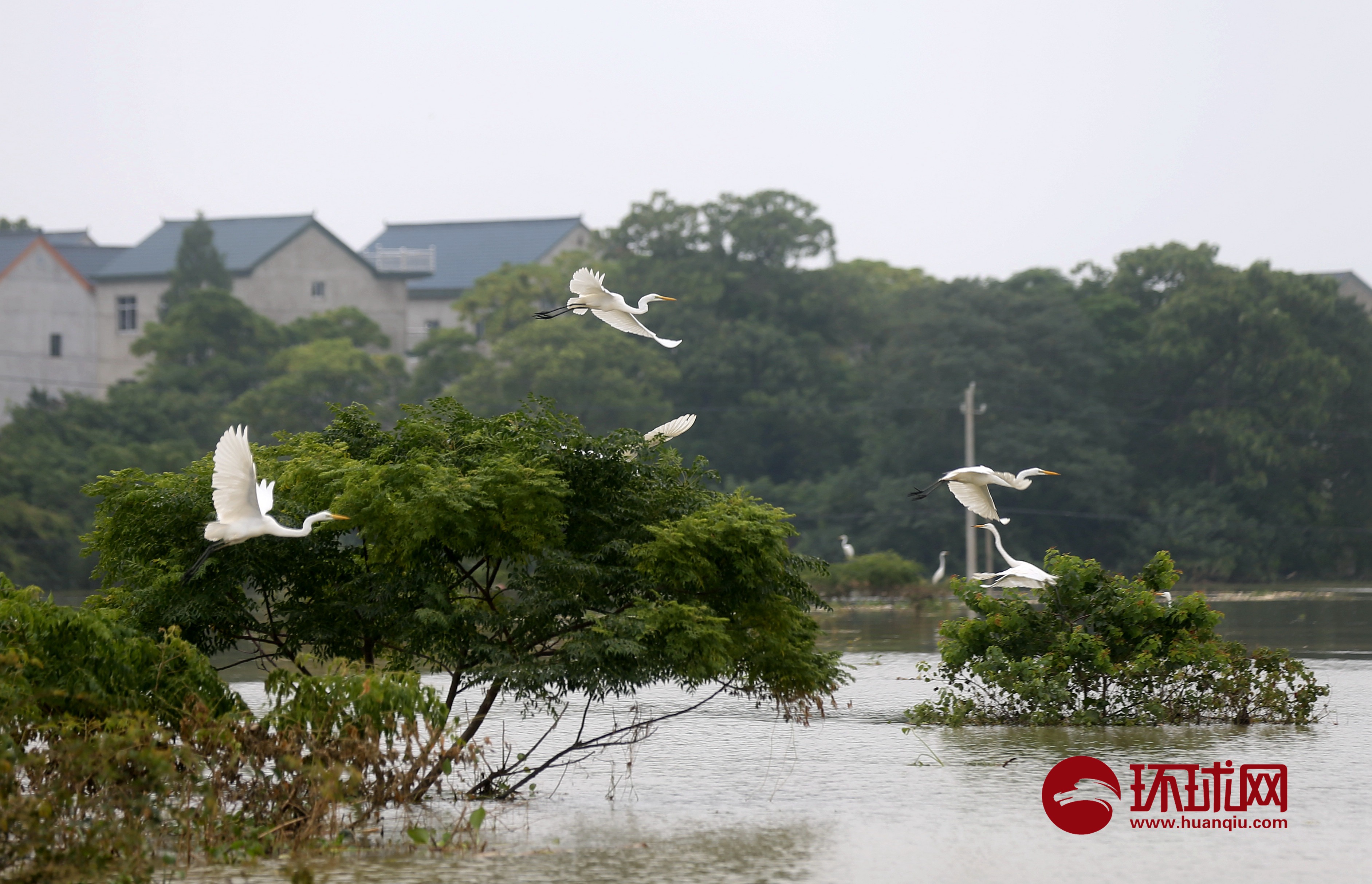 江西鄱阳县三个自然村成孤岛村民唯有坐船才能通往外界