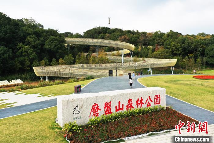 11月19日，航拍位于江西省南昌市湾里管理局的磨盘山森林公园，不少游客行走在森林步道上。 刘占昆 摄