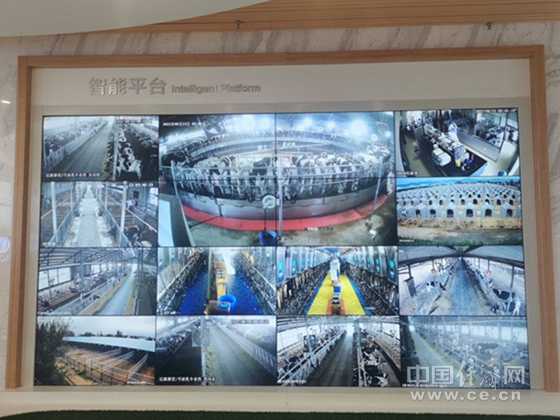 内蒙古赛科星繁育生物技术（集团）股份有限公司展示大厅内的智能监测平台（中国经济网记者 年巍/摄）