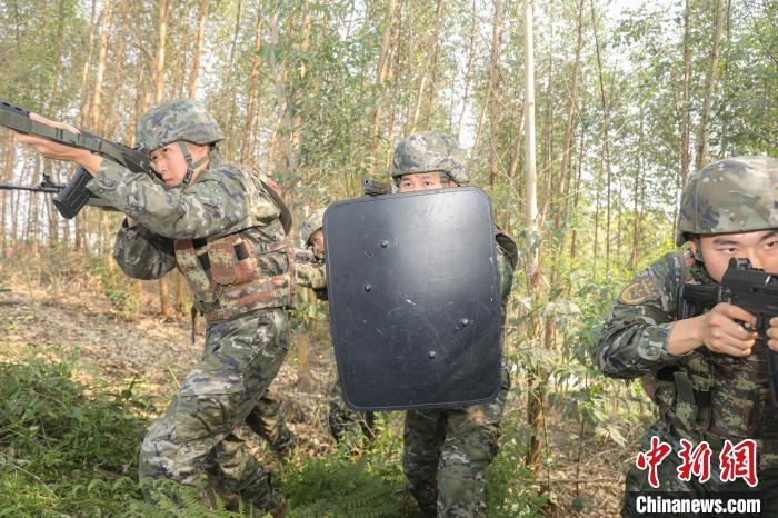 丛林深处，官兵交替掩护搜索目标。 刘承润 摄