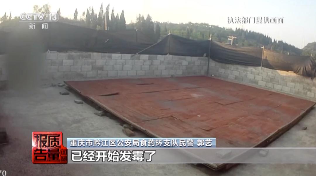 △警方在现场发现,晾晒药丸的木板已经发霉,上面还有很多灰尘。