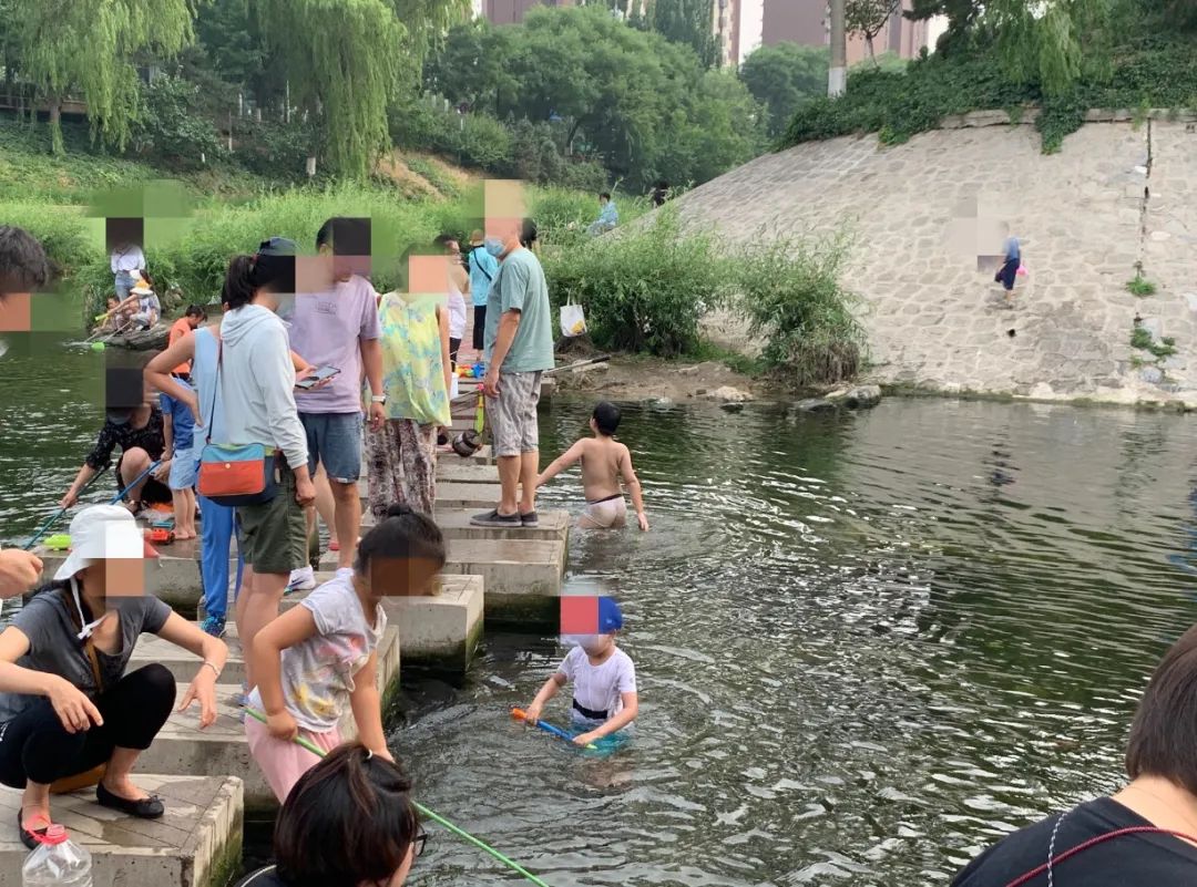 “网红”凉水河成儿童公共泳池！不干净，更不安全！