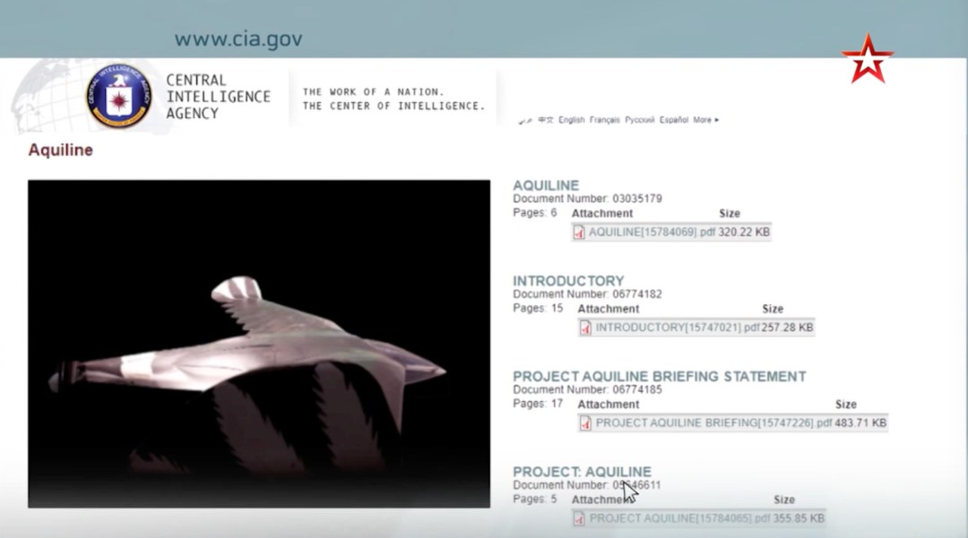 暗器排行_世界最牛暗器,第2来自中国,第3堪称狩猎神器(2)