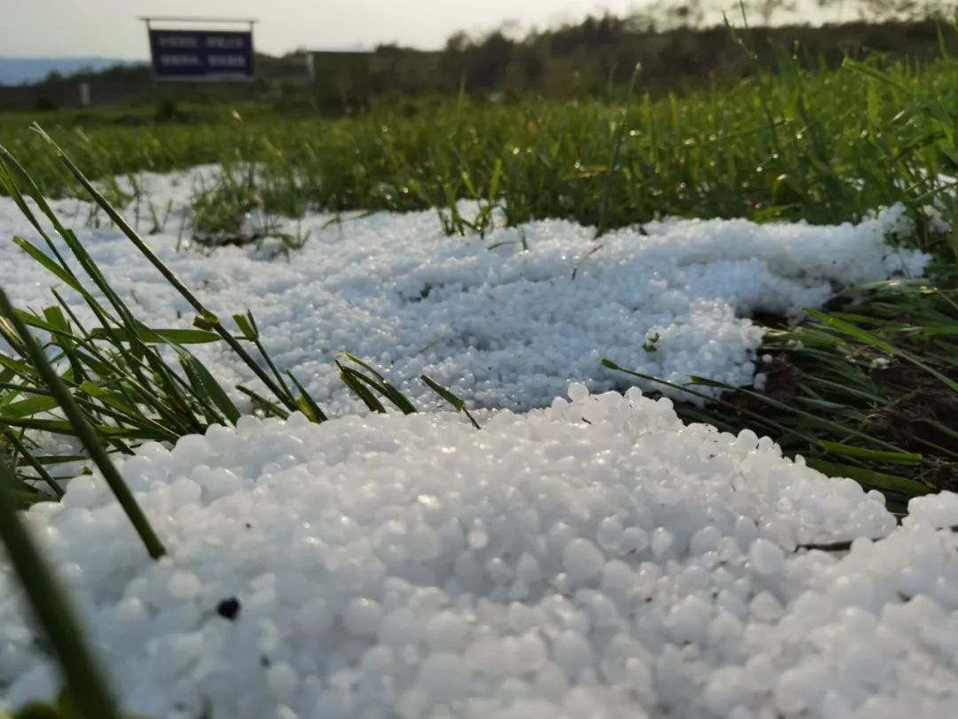 贵州启动气象灾害暴雨Ⅳ级应急响应昨晚贵阳毕节出现冰雹
