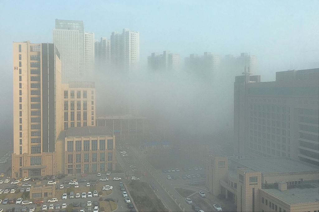 山东青岛现平流雾美景 城市宛如仙境