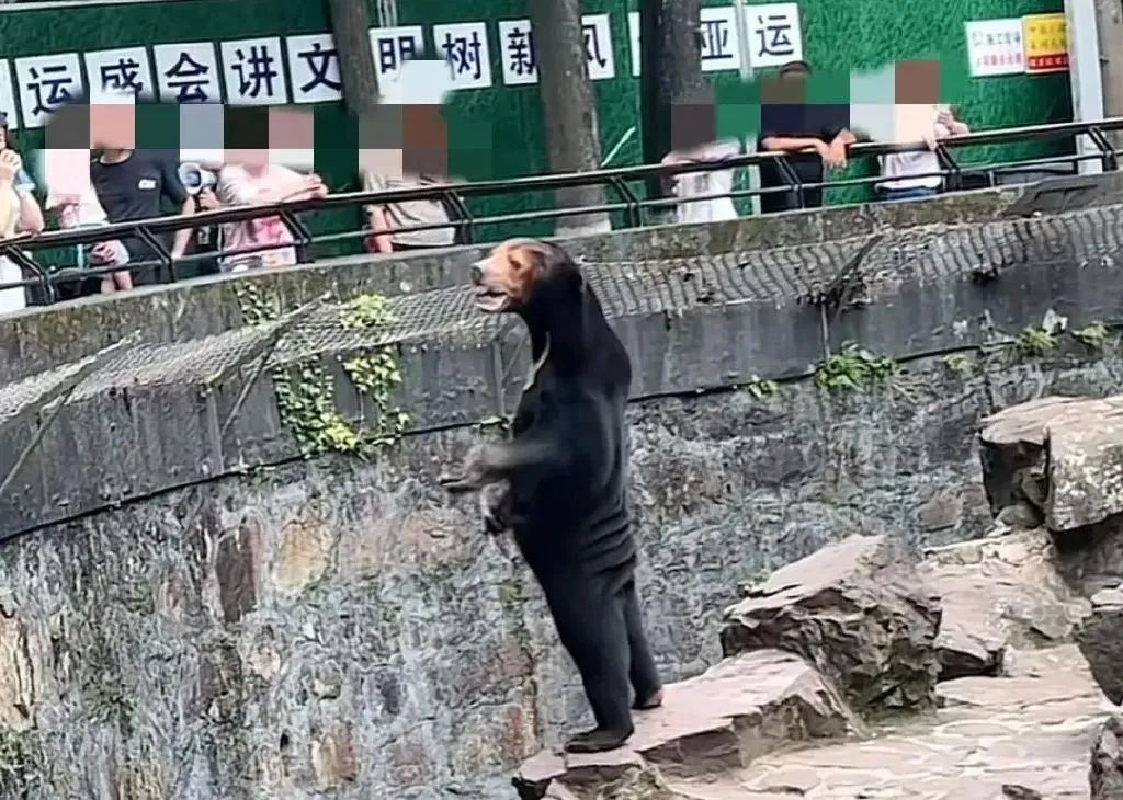 来源：网传视频截图