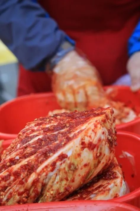 ▲辣白菜。（拉姆 供图）