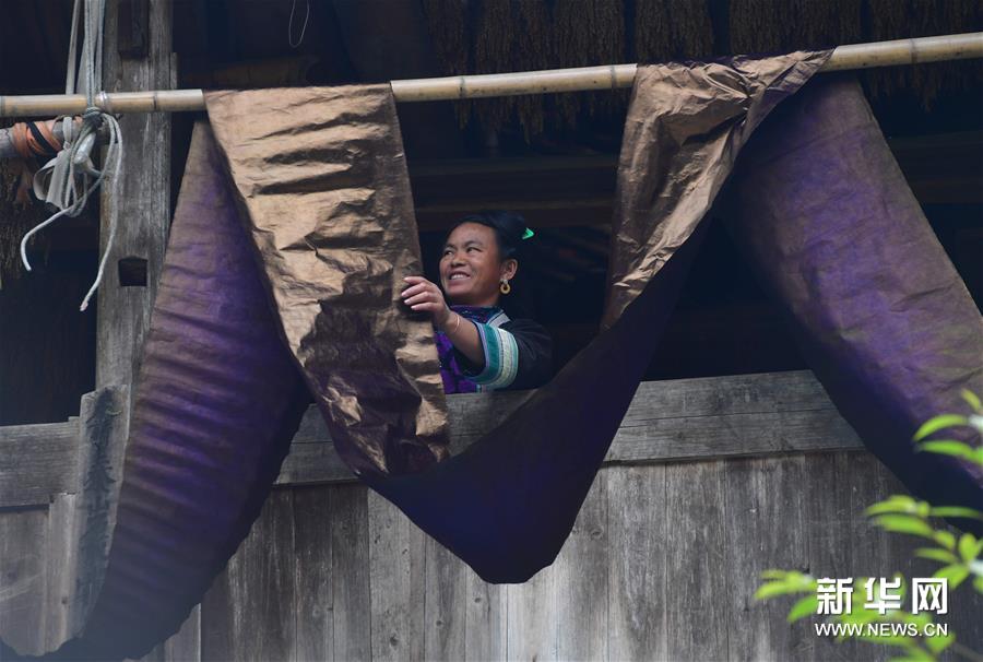 10月25日，乌英苗寨村民吴雪花在晾晒亮布。 新华社记者 黄孝邦 摄
