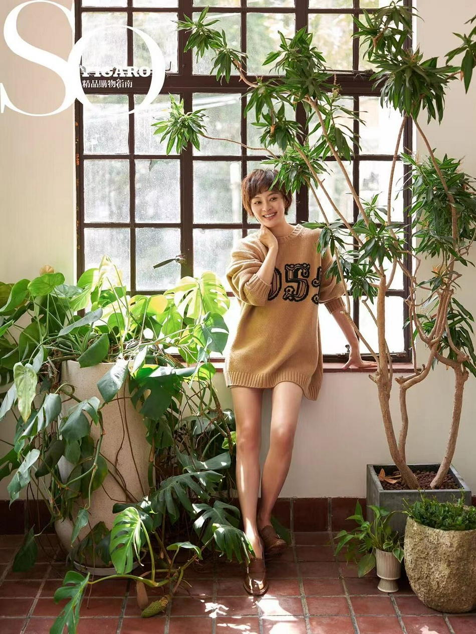 孙俪最新写真大片曝光 一袭修身连衣裙浅笑迷人