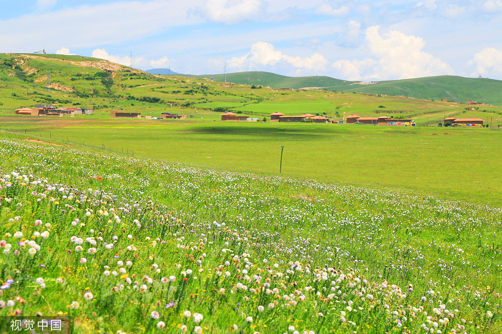 四川阿坝草原风光旖旎