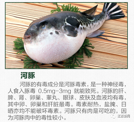 按照要求,养殖河豚加工产品应该有包装,包装上附带可追溯的二维码,并