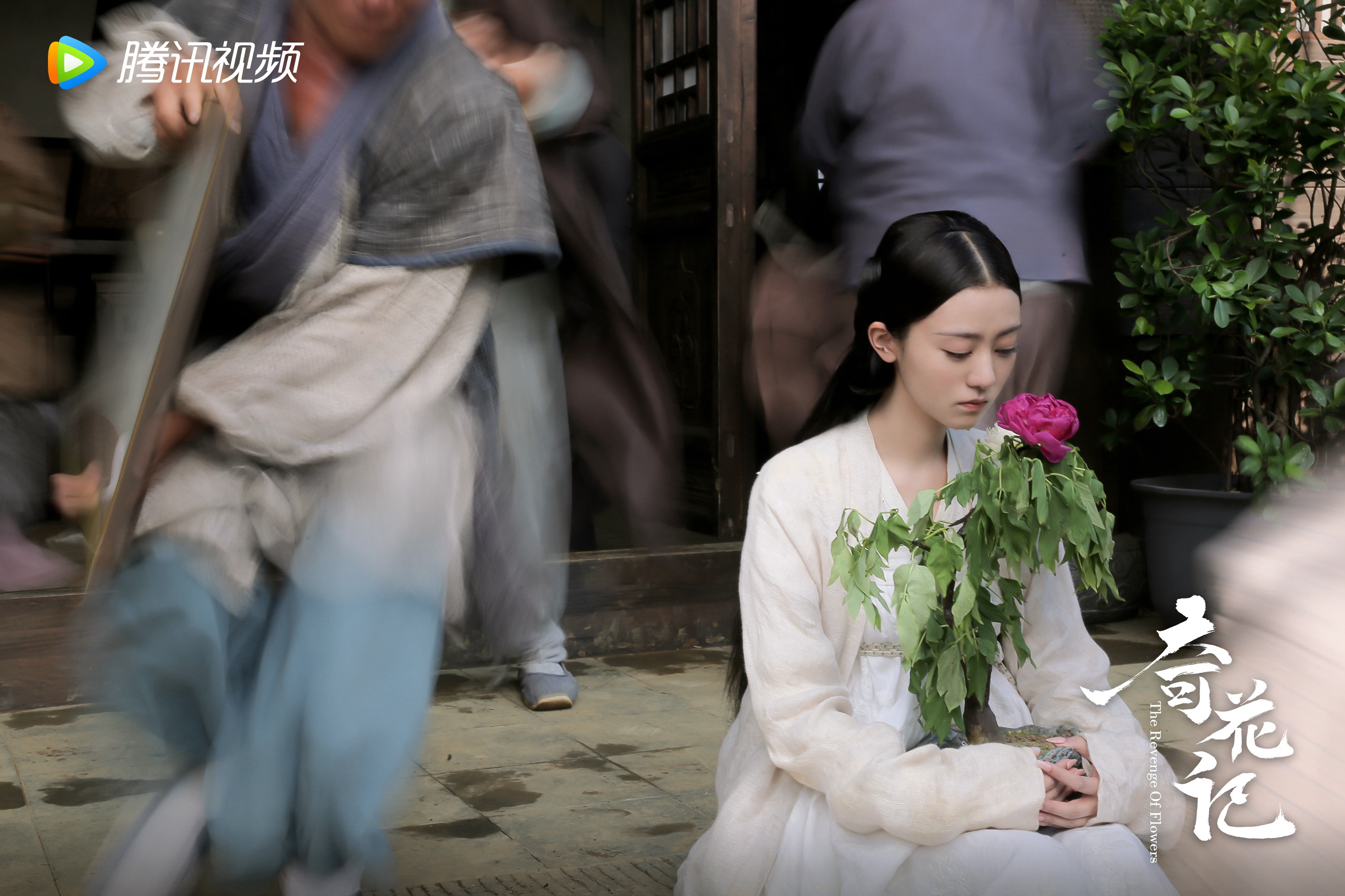 聊斋大片今日上线奇花记