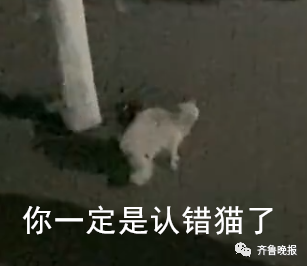 笑喷!高校猫咪遭大爷“训话”:学习读书,还要有礼貌!