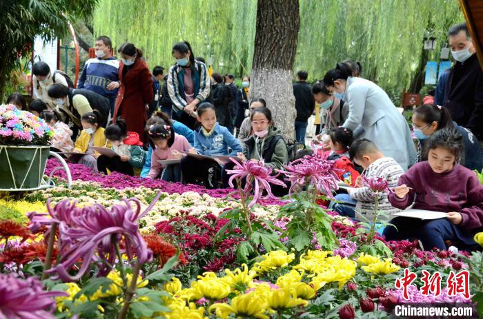 10月25日，第41届趵突泉金秋菊展在山东济南天下第一泉风景区开幕。本届菊展以“菊韵趵突、泉甲天下”为主题，400多个菊花品种，8万余盆菊花，依托泉水自然景观，展现生态济南之美。 孙婷婷 摄