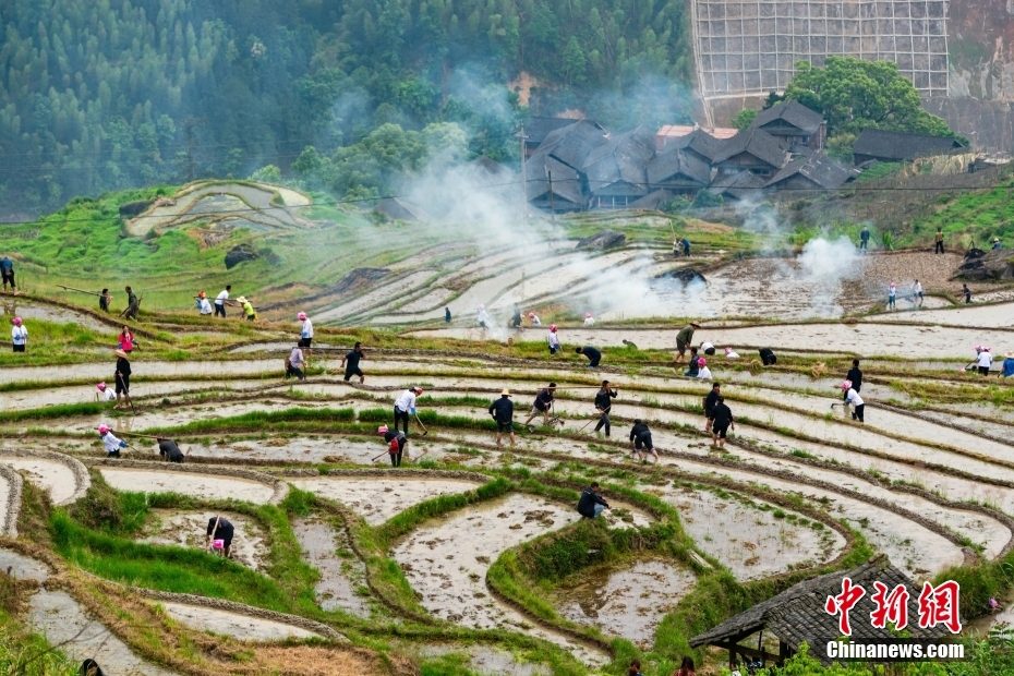图为龙脊梯田壮寨村民在梯田中耕耘劳作，吊脚楼、村庄、远山、云雾与劳作的人们相互映衬，构成一幅春耕画卷。