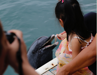 游客在海洋馆内投喂圈养海豚/图片来源：世界动物保护协会