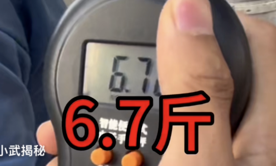 游客用自己的称称了一下，显示只有6.7斤。视频截图
