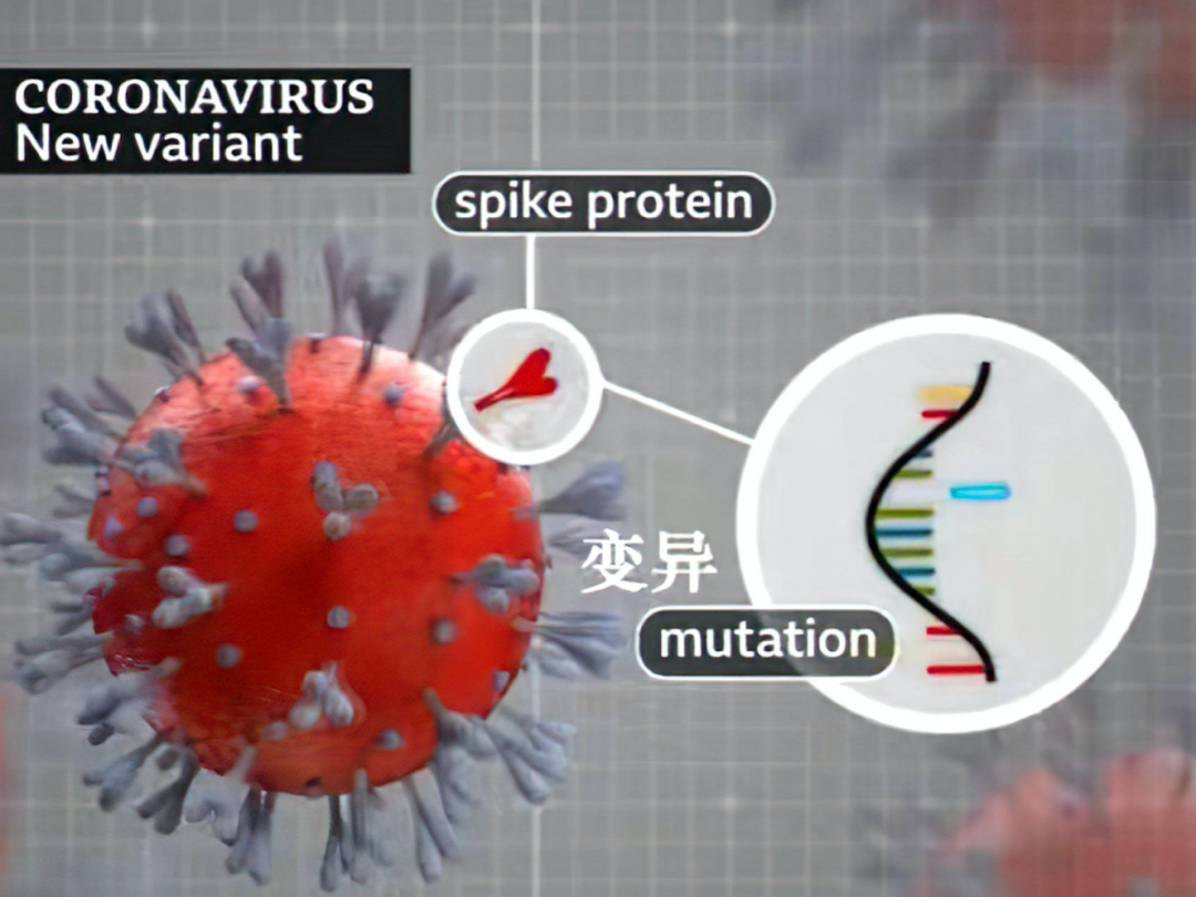 新冠病毒变异快、易跨种传播，需警惕动物中流行的变异株回传到人类：回眸-MedSci.cn